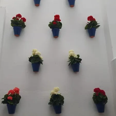 Apartamento El Mirador De San Fernando Córdoba