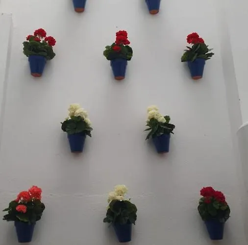 アパート El Mirador De San Fernando コルドバ